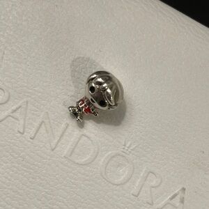 Pandora Harry Potter Charm of Ron